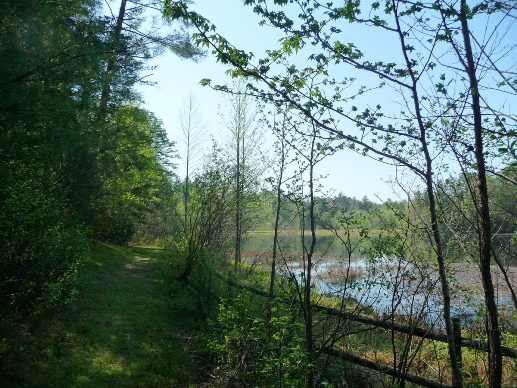View of the trail around Wattacoo Lake in Ashmore Heritage Preserve