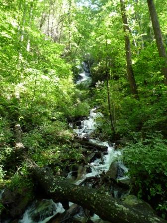 Twin Falls on Avery Creek Trail