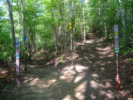 Junction of Bracken Mountain Trail and Mackey Ridge Trail