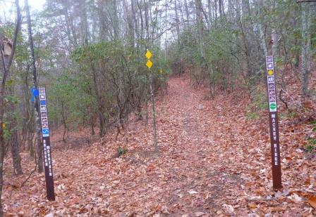 Lower Junction of Bracken Mountain Trail and Mackey Ridge Trail
