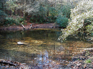 South Mills River