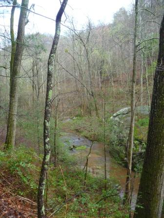 View of the South Pacolet River from the trail above the river