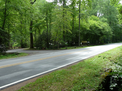 Coontree (Coon Tree) Parking Area along Highway 276 in Pisgah Forest