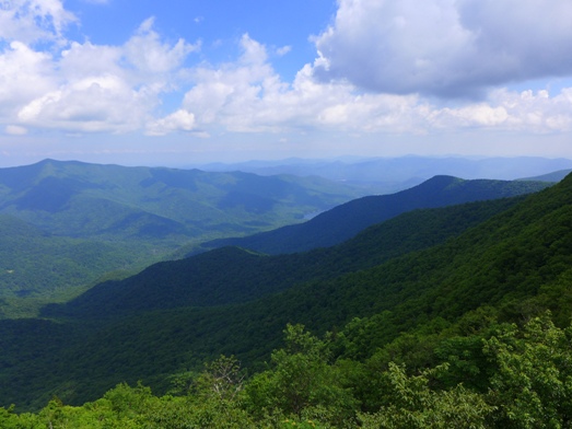 View of the Asheville Watershed from the Mountains to Sea Trail