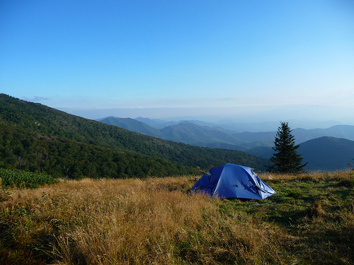Campsite on Roan Mountain