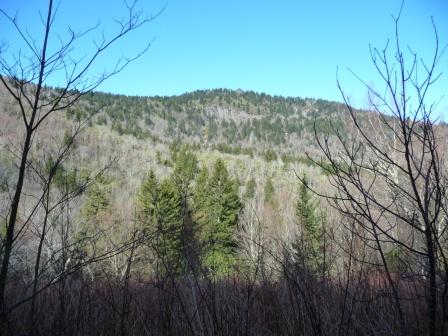 View of Green Knob Ridge
