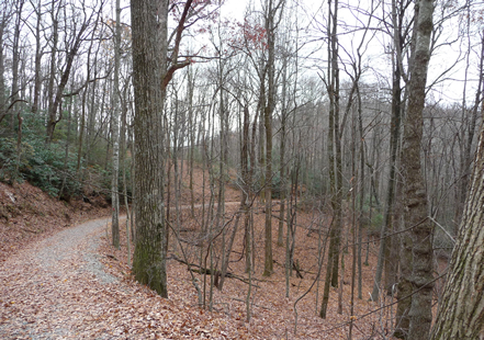First Part of Trail
