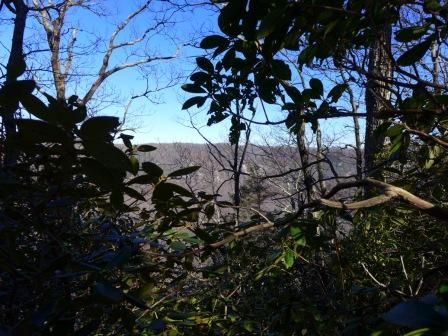 View of NC/SC escarpment from Raven Cliff Ridgeline
