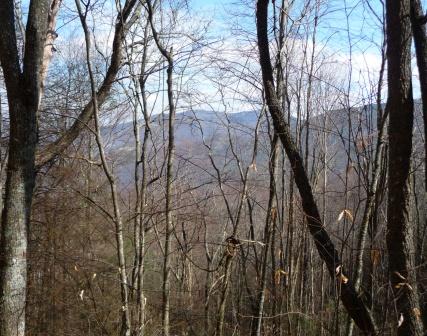 View of Cold Mountain and Deep Gap, as seen from logging road that climbs up Cathy's Ridge
